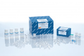 Набор для выделения ДНК QIAamp DNA Microbiome Kit